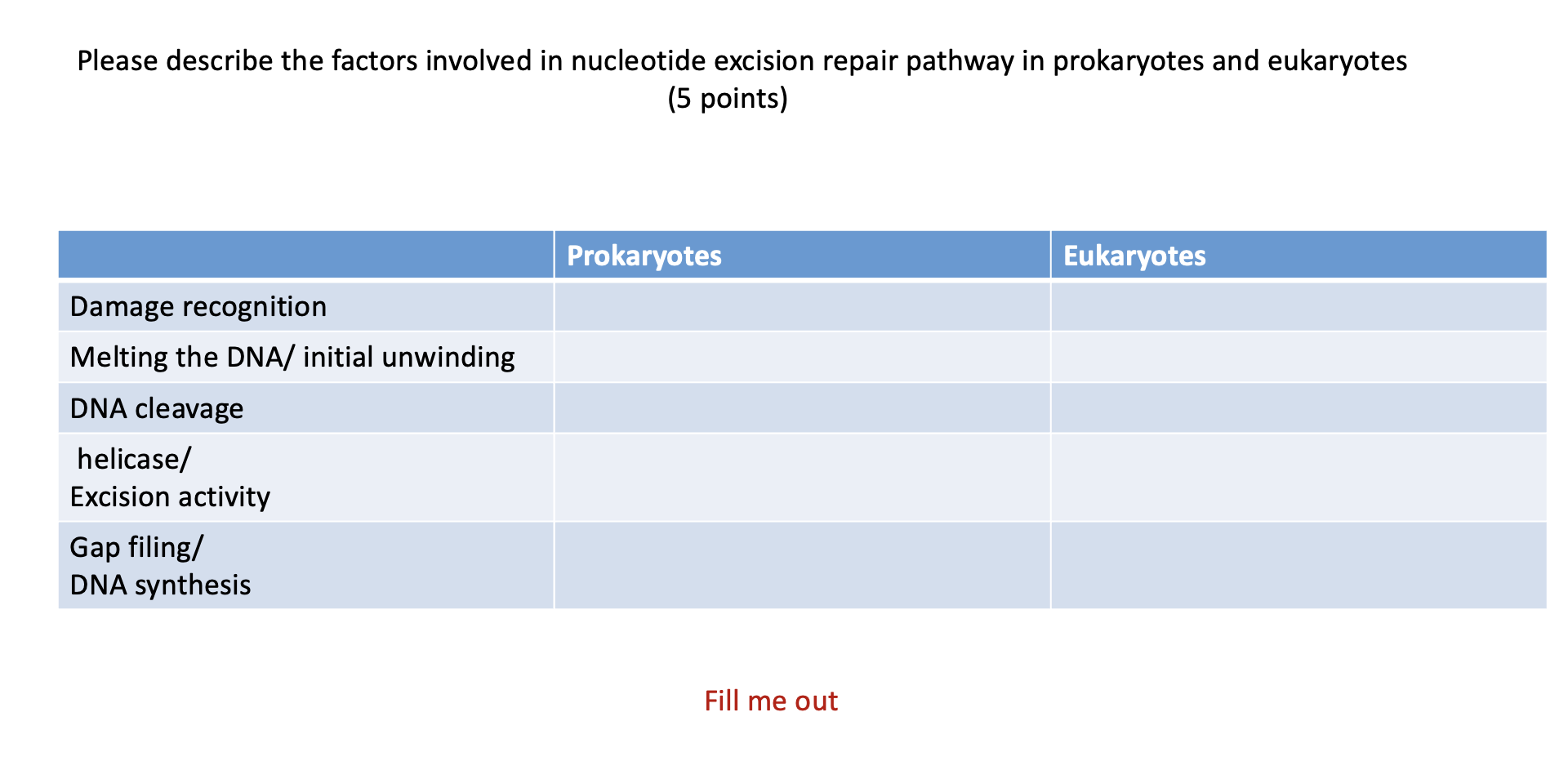 Solved nucleotide excision repair pathwayPlease describe the | Chegg.com
