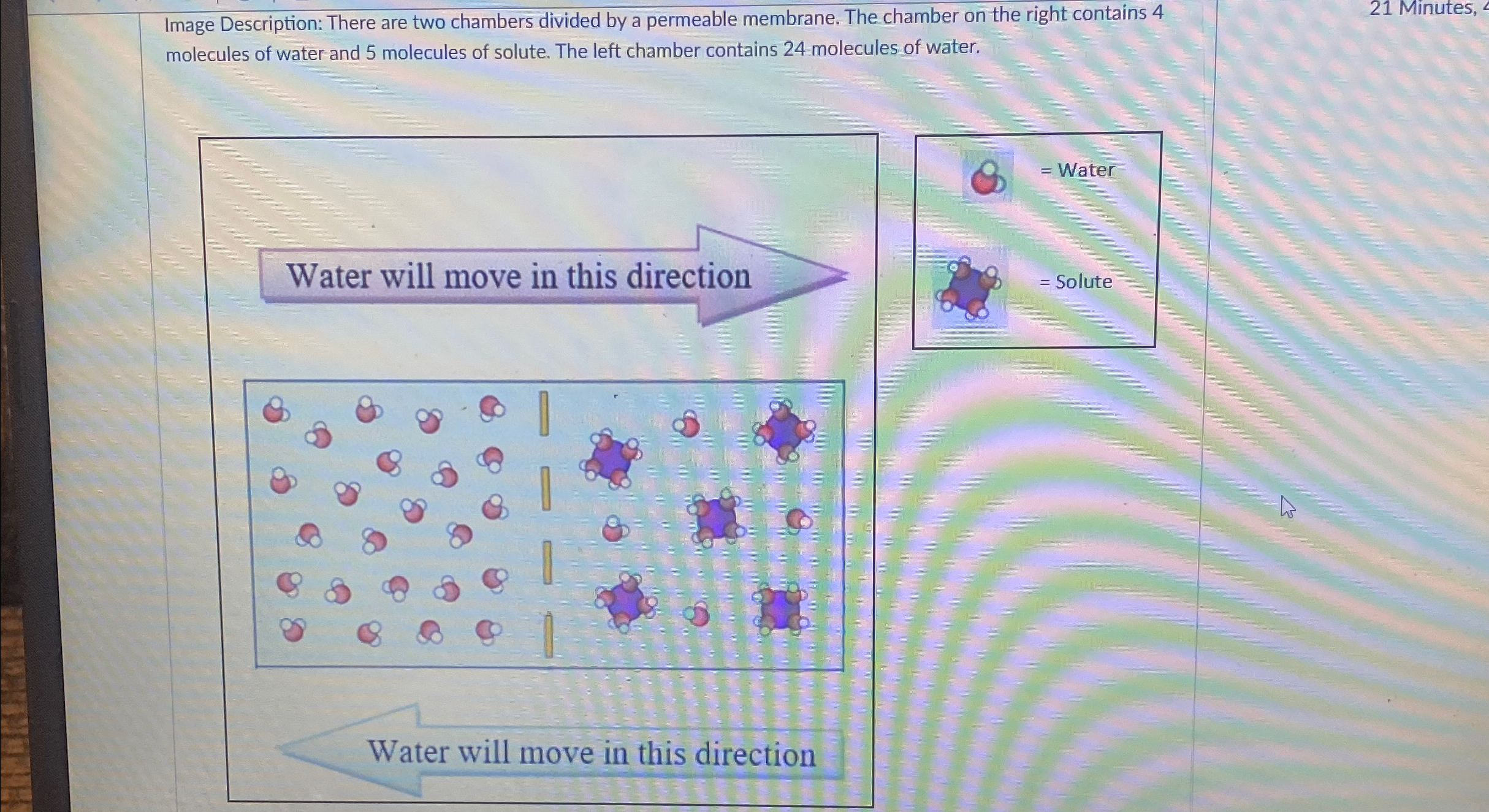 Solved Image Description: There are two chambers divided by | Chegg.com