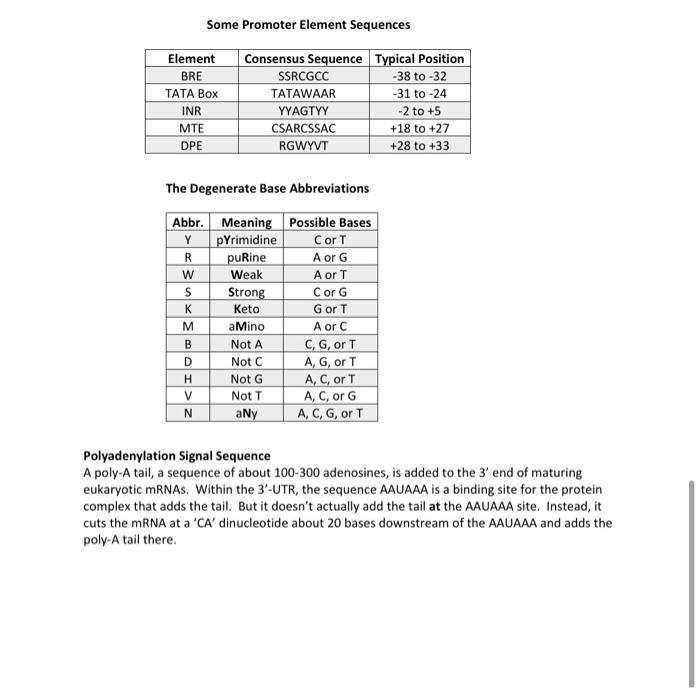 bio-3321l-genetics-lab-5-from-dna-to-protein-part-chegg