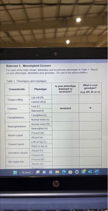 Solved I need this entire lab completed ive attached all | Chegg.com