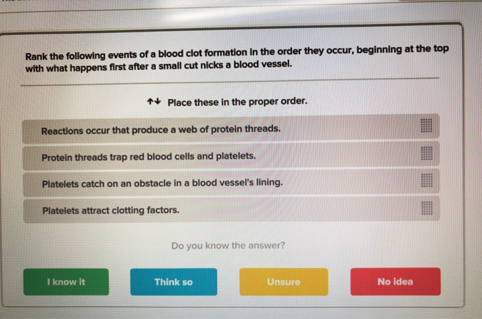 Solved Rank The Following Events Of A Blood Clot Formatio Chegg Com