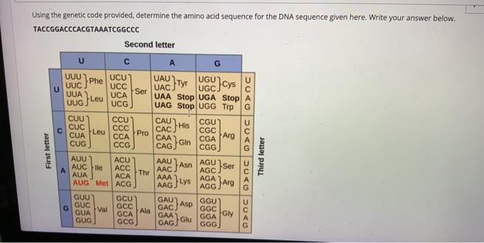Solved Using the genetic code provided, determine the amino | Chegg.com