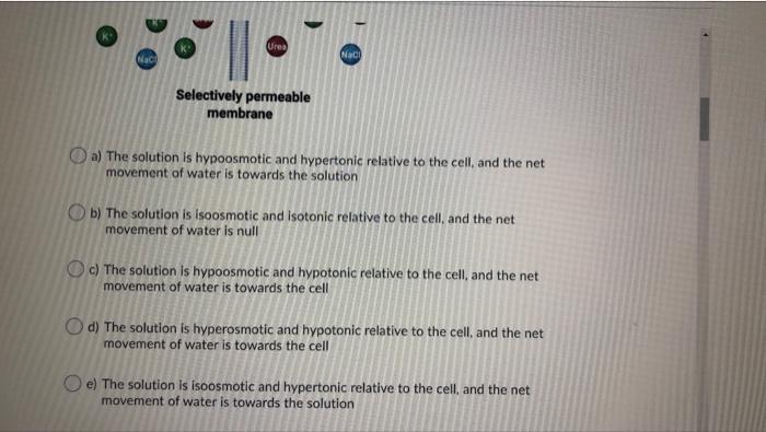 Solved A cell with a selectively permeable membrane is in a | Chegg.com