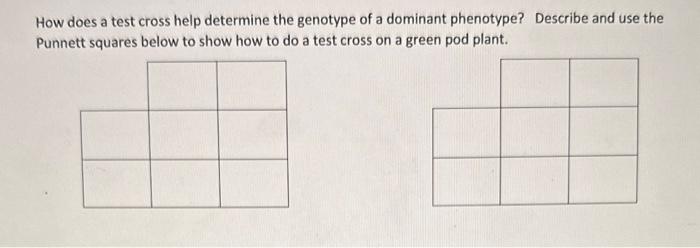 How does a test cross help determine the genotype of | Chegg.com