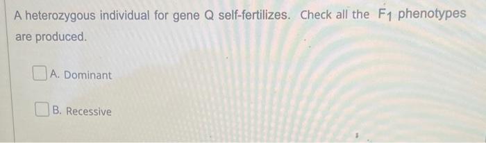 Solved A homozygous recessive parent 1 for gene G crosses | Chegg.com