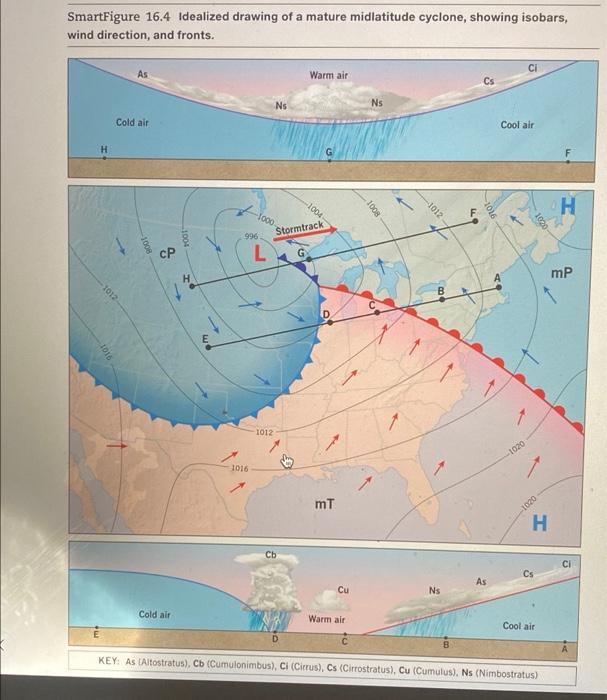 Midlatitude storms in a moister world: lessons from idealized