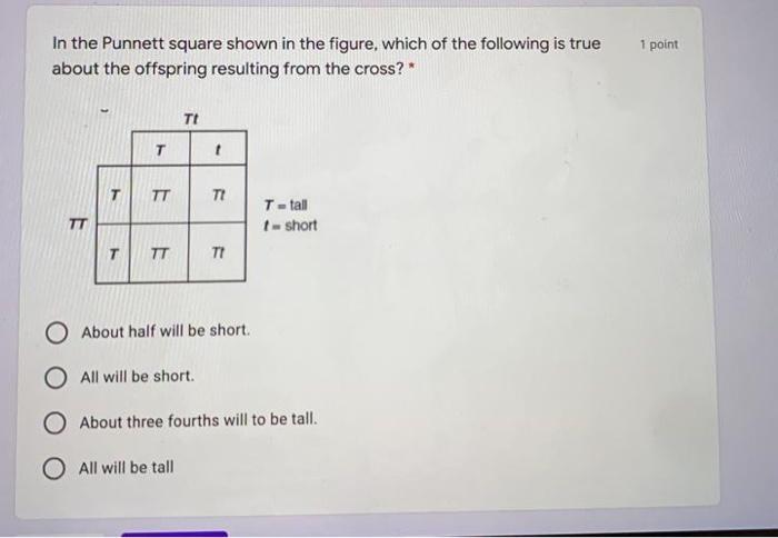 Solved 1 point In the Punnett square shown in the figure, | Chegg.com