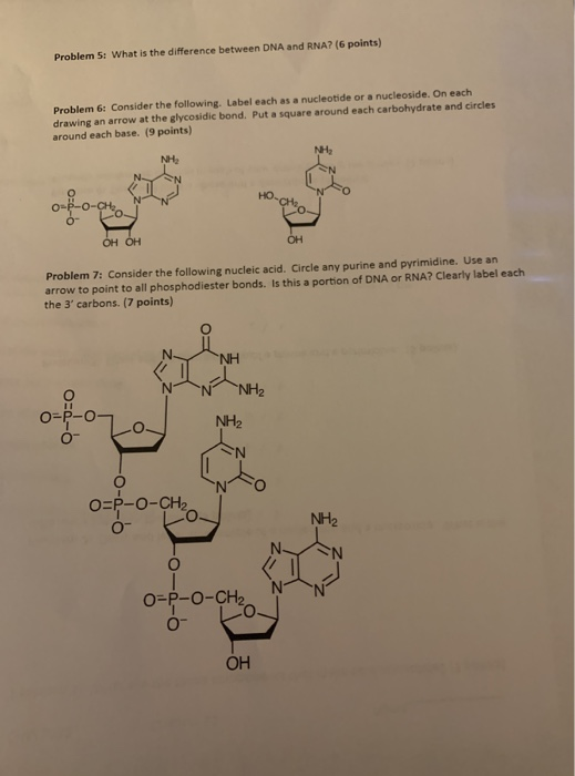 Solved Problem 5: What is the difference between DNA and | Chegg.com