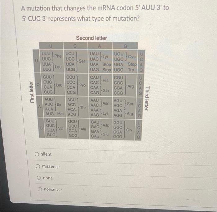 Solved A mutation that changes the mRNA codon 5' AUU 3' to | Chegg.com