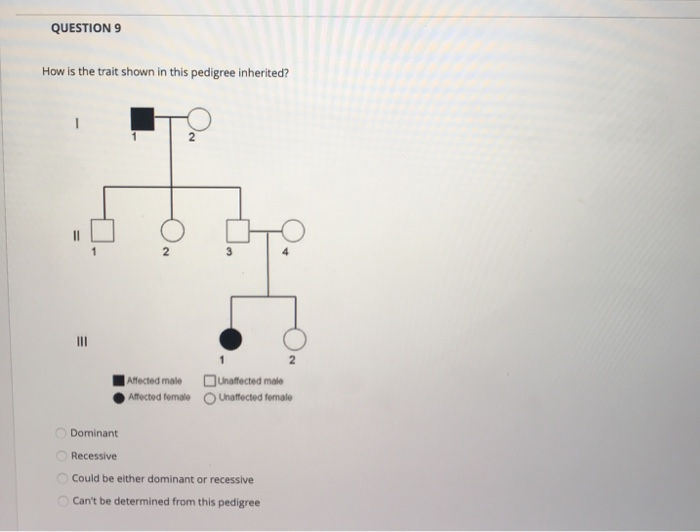 Solved QUESTION 7 Which Statement Below Is True About The | Chegg.com