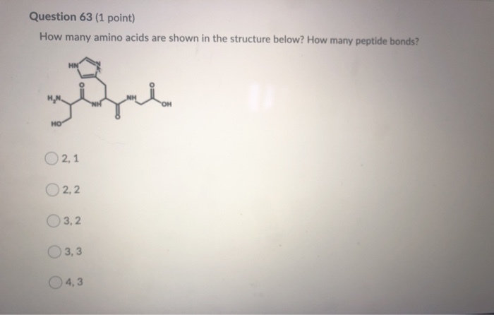 Solved Question 63 (1 point) How many amino acids are shown | Chegg.com