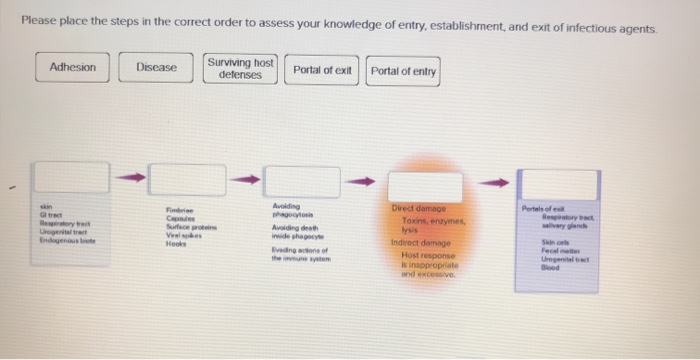 Solved Please place the steps in the correct order to assess | Chegg.com