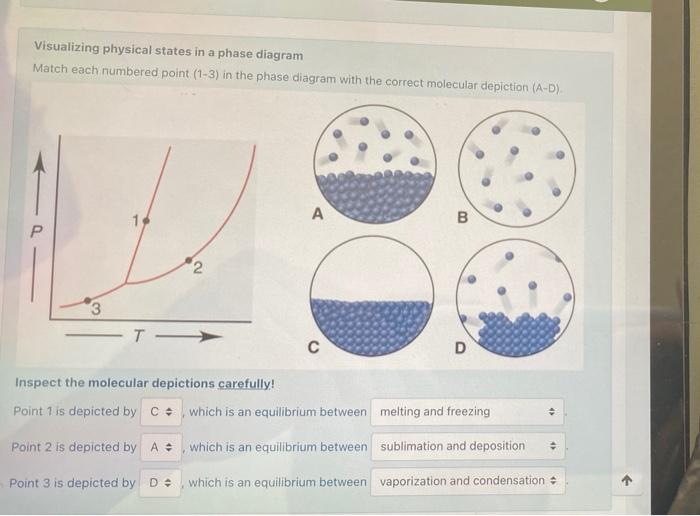 Solved Visualizing physical states in a phase diagram Match | Chegg.com