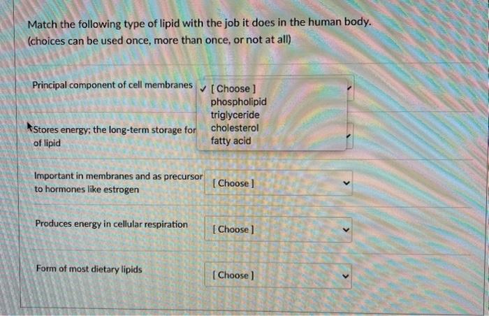 Solved Match the following type of lipid with the job it | Chegg.com