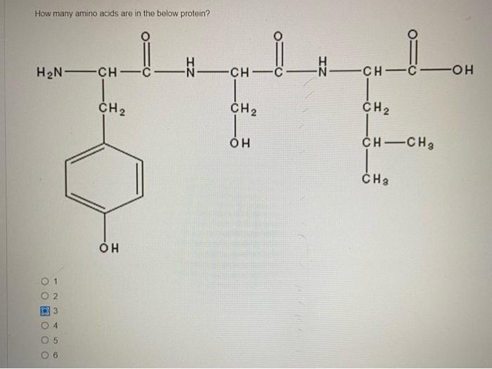 Solved How many amino acids are in the below protein? OO | Chegg.com