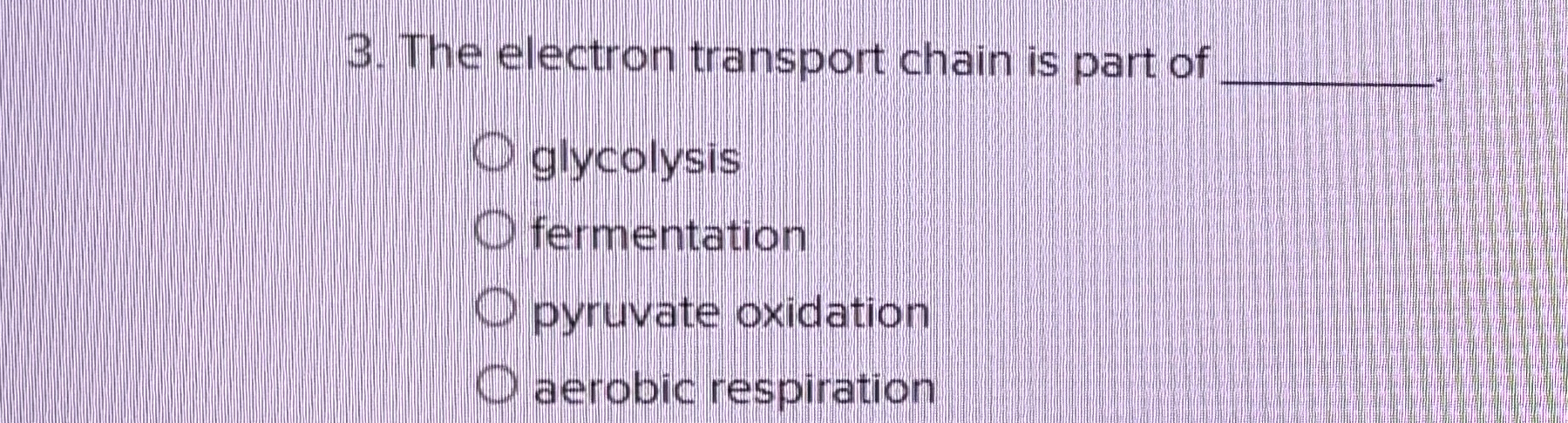 Solved The electron transport chain is part of | Chegg.com