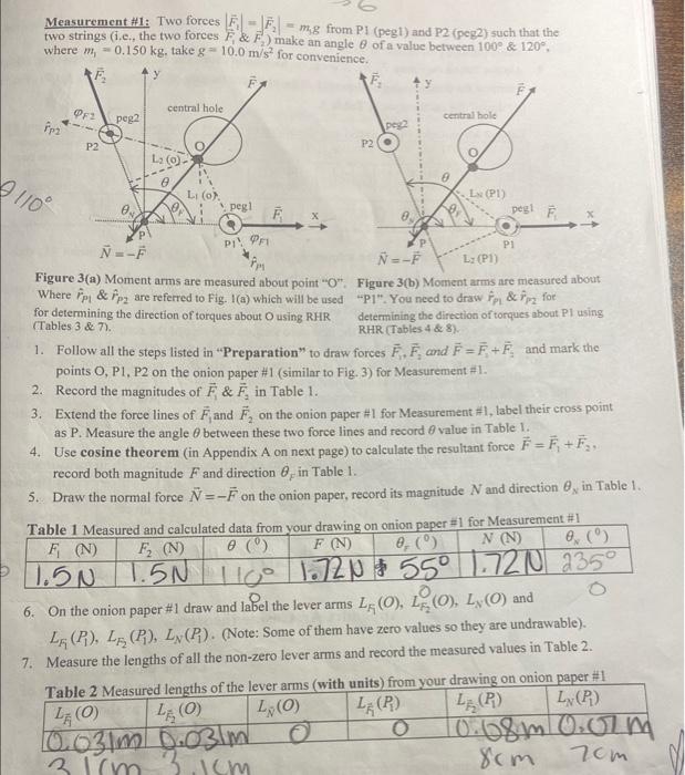 which statement is a possible hypothesis for this experiment