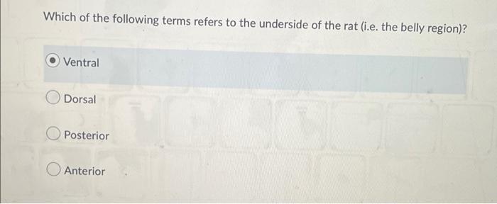 solved-which-of-the-following-terms-refers-to-the-underside-chegg