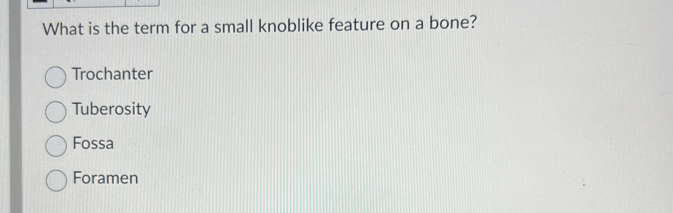 Solved What is the term for a small knoblike feature on a