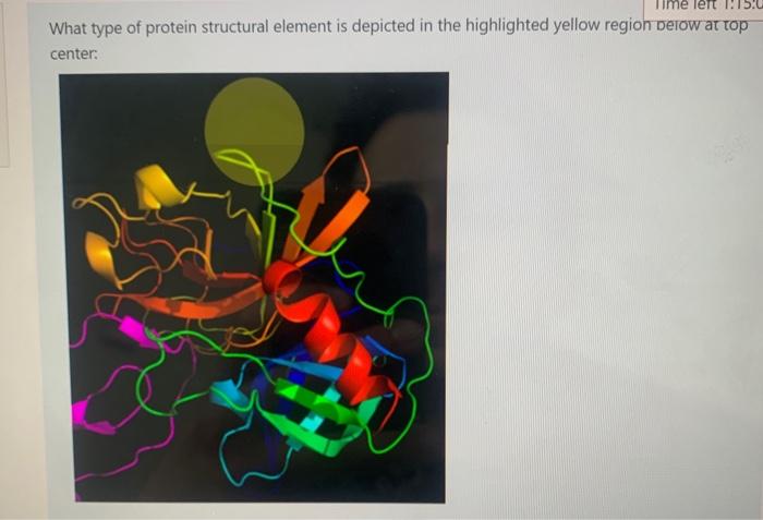 Solved What type of protein structural element is depicted | Chegg.com