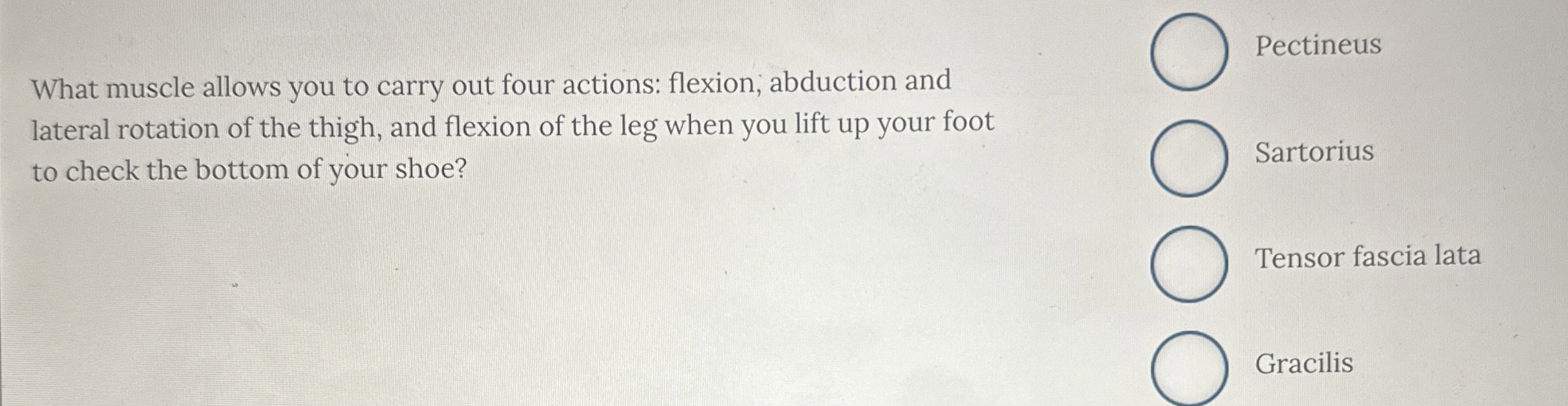 Solved What muscle allows you to carry out four actions