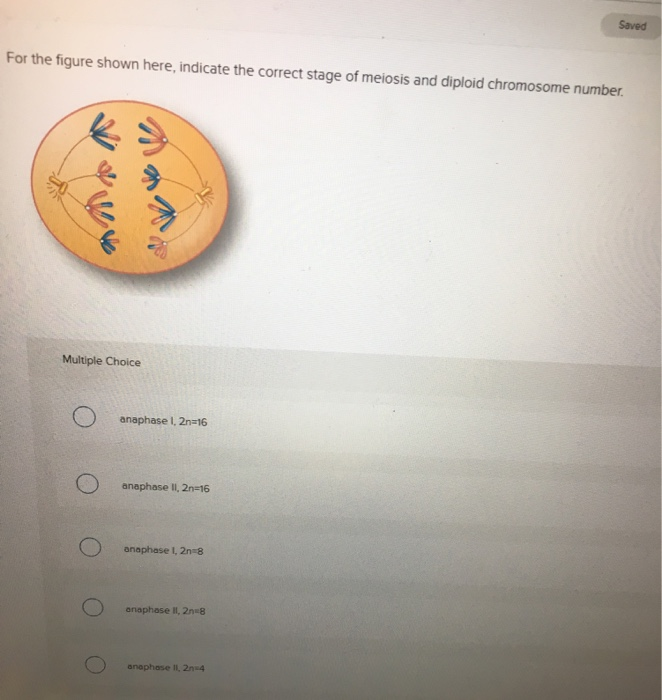 Solved Saved For the figure shown here, indicate the correct | Chegg.com