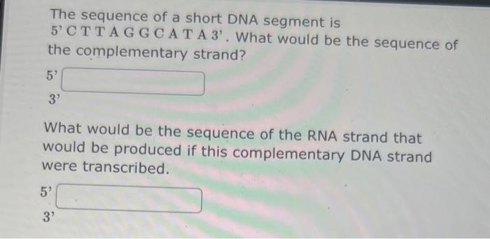 Solved The sequence of a short DNA segment is 5' C T T A G G | Chegg.com