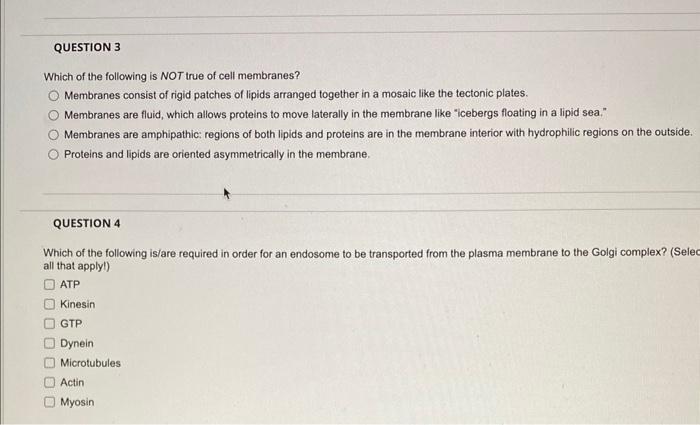 Solved Which of the following is NOT true of cell membranes? | Chegg.com