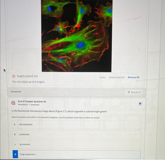 (a) End of Chapter Question \( =5 \) Homework + Answered In the fluorescent microscopy image above (Figure 3,7\( ) \), which