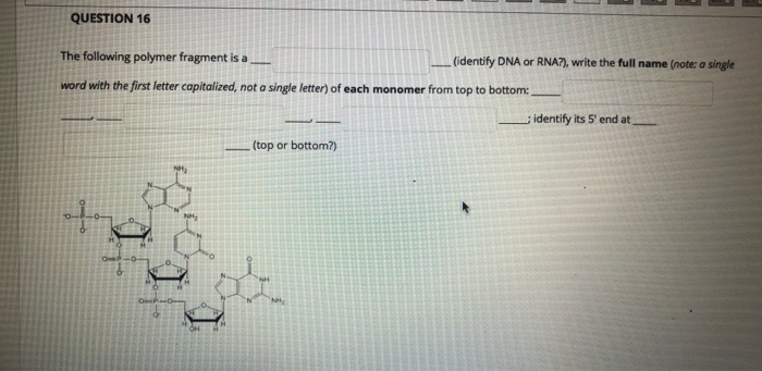 solved-question-16-the-following-polymer-fragment-is-a-chegg