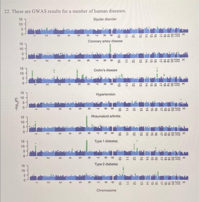 22. These are GWAS results for a number of human | Chegg.com