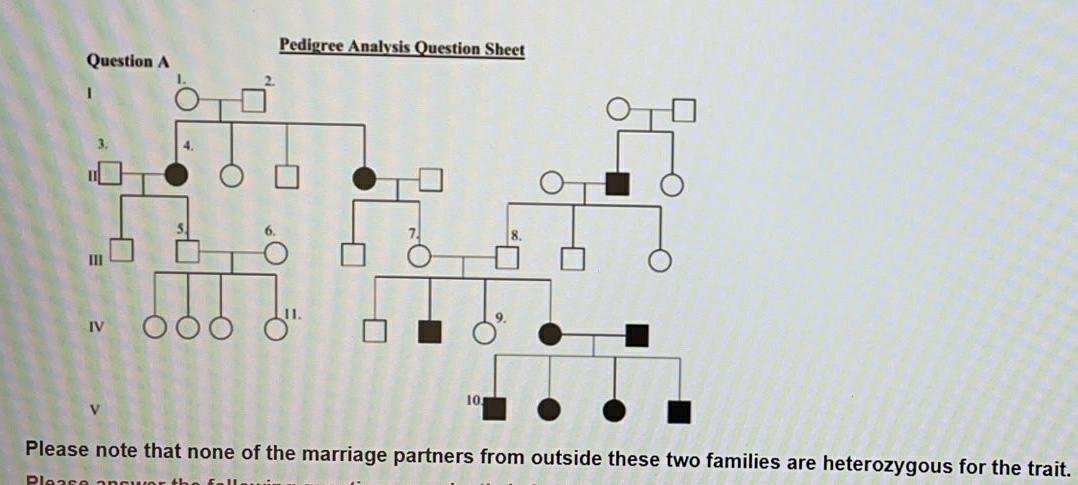 Solved what is the pattern of inheritance for this | Chegg.com