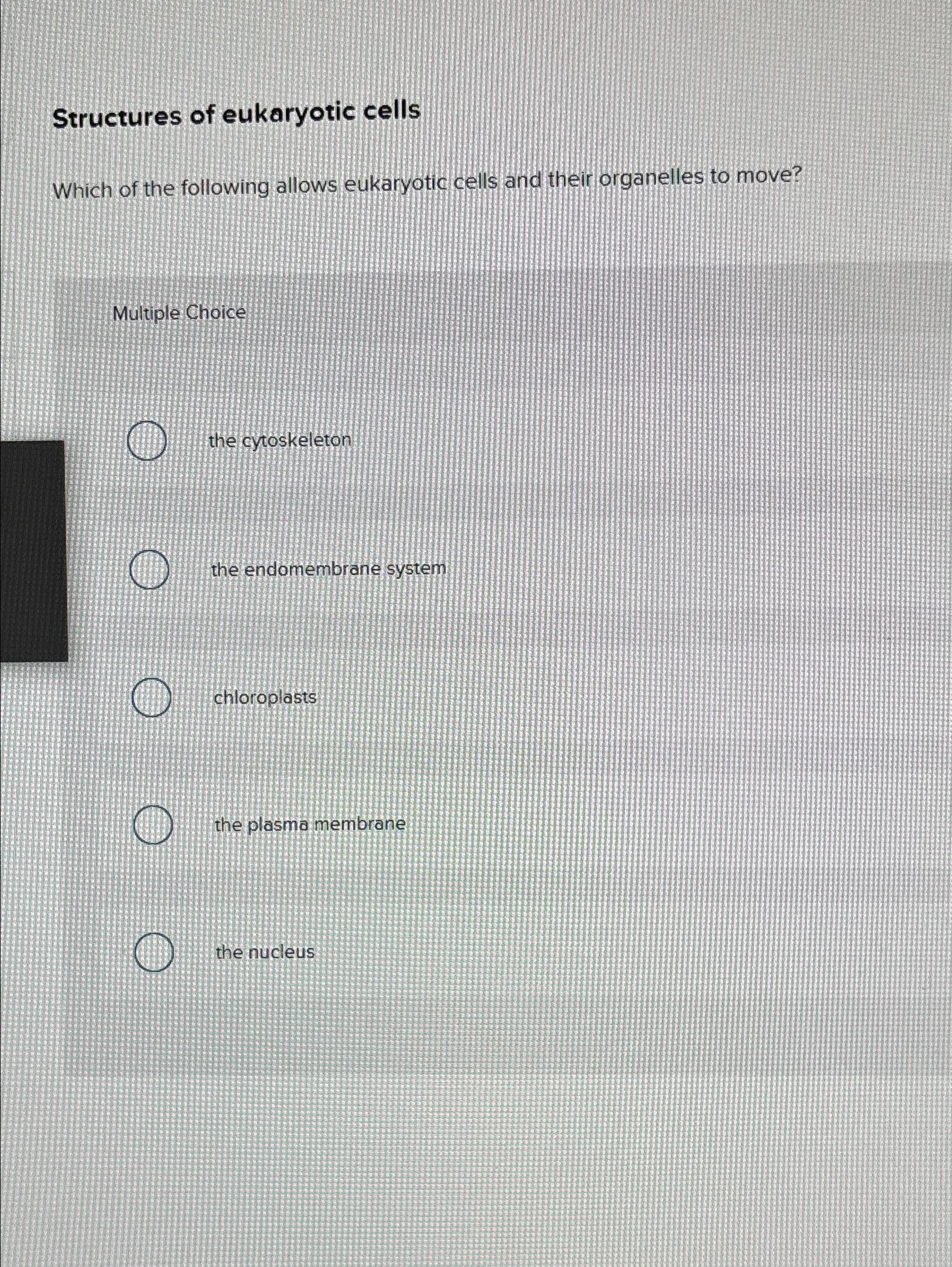 which of the following are examples of eukaryotic cells