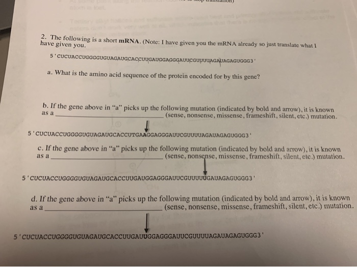 Solved 2. The following is a short mRNA. (Note: I have given | Chegg.com