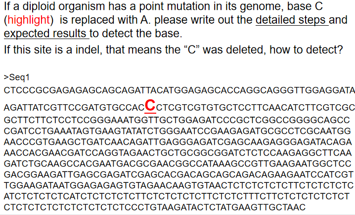 Solved If a diploid organism has a point mutation in its | Chegg.com
