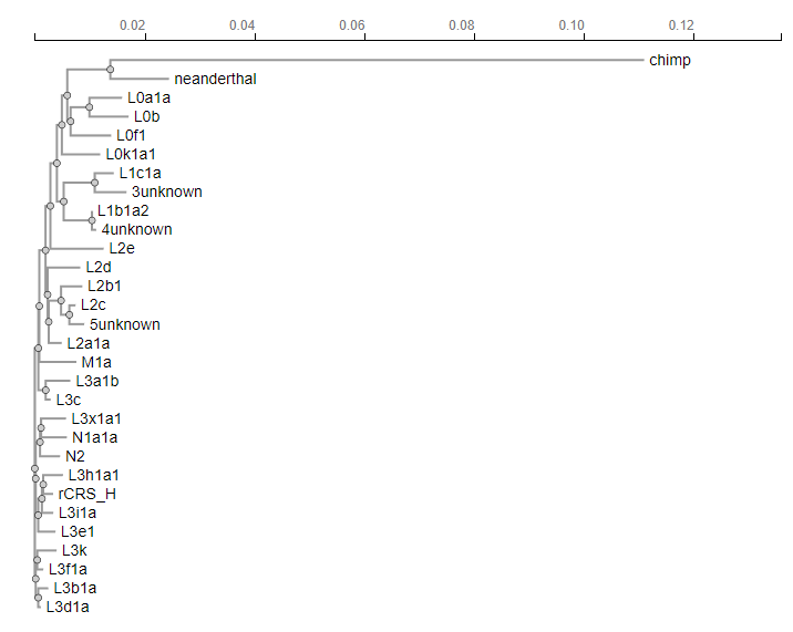 Solved You try to root your mtDNA tree with chimp sequence | Chegg.com