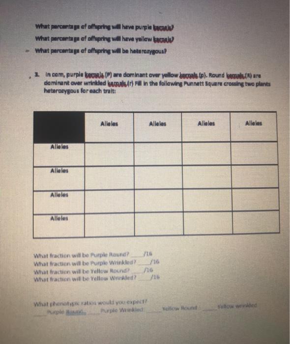 Solved Punnett Squares Lab Worksheet: Complete the following | Chegg.com