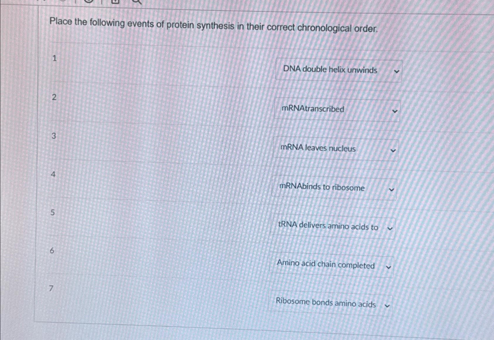 Solved Place the following events of protein synthesis in | Chegg.com