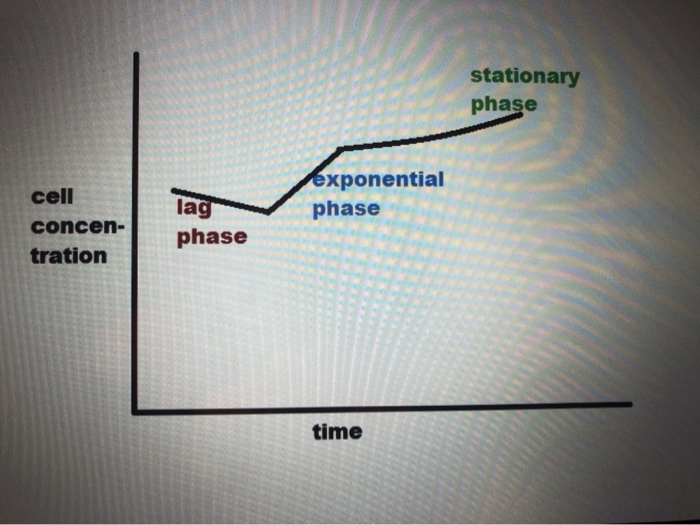 Solved 3) Use the logarithmic phase of the growth curve to | Chegg.com