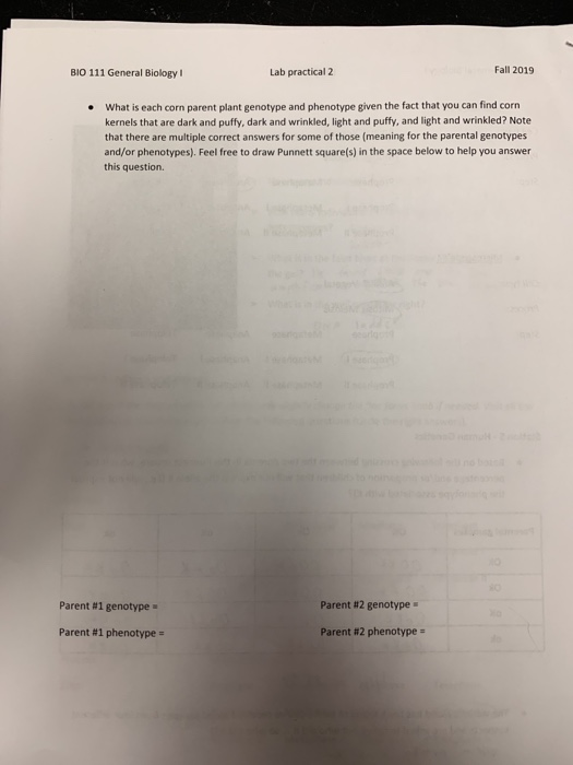 Fall 2019 Bio 111 General Biology Lab Practical 2 Chegg Fall 2019 Bio 111 General Biology Lab Practical 2 Chegg