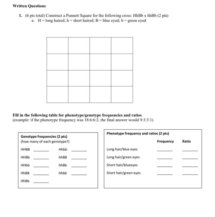 1. (6 pts total) Construct a Punnett Square for the following cross: HhBb \( \times \) hhBb (2 pts)
a. \( \mathrm{H}= \) long