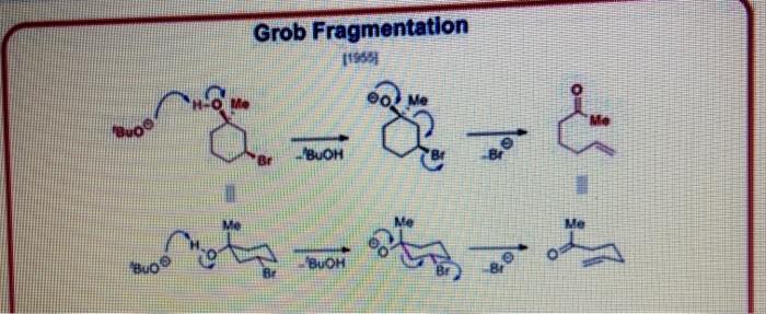 Solved Grob FragmentationIdentify as many steps as you can | Chegg.com