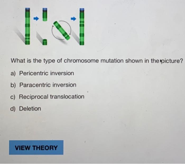 Solved What is the type of chromosome mutation shown in the | Chegg.com