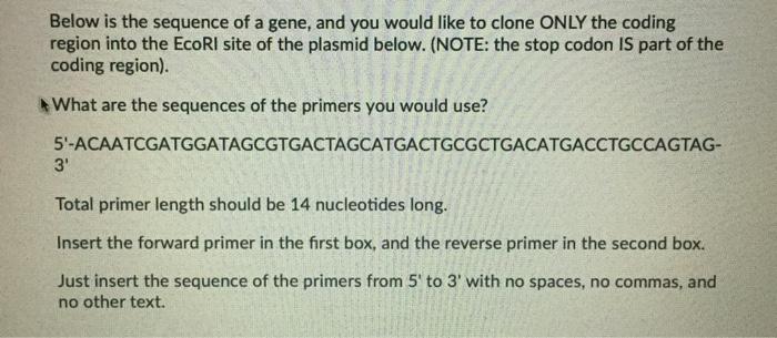 Solved Below is the sequence of a gene, and you would like | Chegg.com