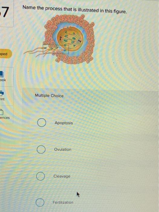 Solved Name the process that is illustrated in this figure. | Chegg.com