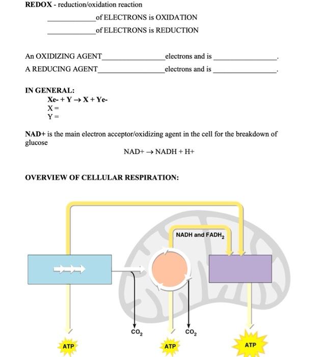 student submitted image, transcription available below