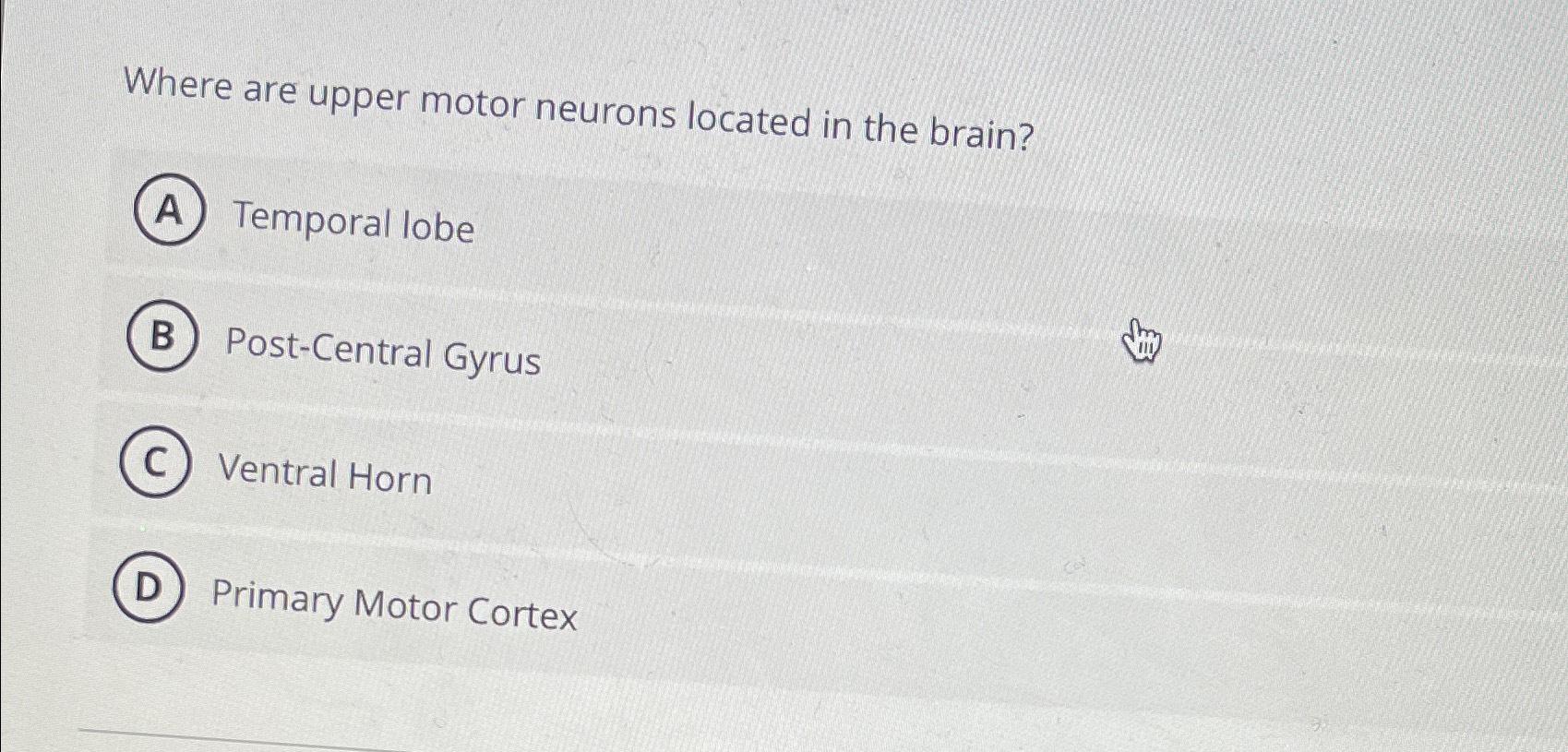 Solved Where are upper motor neurons located in the | Chegg.com