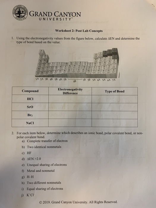 Solved: GRAND CANYON UNIVERSITY Worksheet 2: Post Lab Conc... | Chegg.com