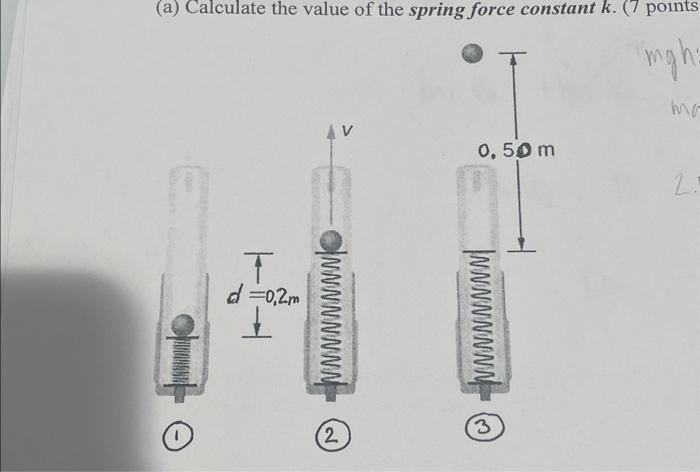 (a) Calculate the value of the spring force constant | Chegg.com