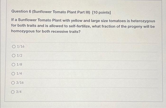 Solved Question 6 (Sunflower Tomato Plant Part III) [10 | Chegg.com